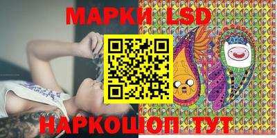 амф Сланцы