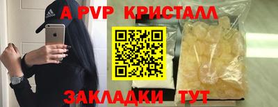 амф Сланцы