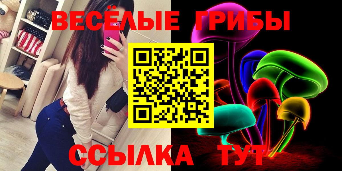 Псилоцибиновые грибы GOLDEN TEACHER  Галлюциногенные грибы Cubensis  Рязань  Вход с VPN 