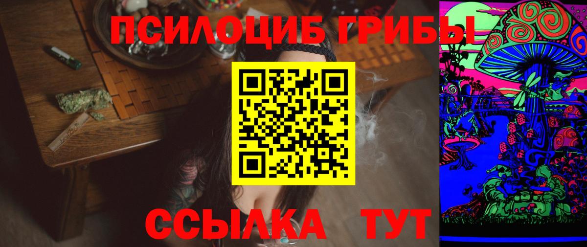 Галлюциногенные грибы Psilocybe Рязань